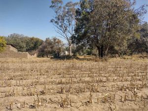 Se vende Terreno para la industrio o vivienda en Yauhquemehcan, Tlax