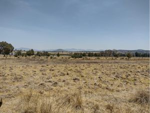 Terreno en Venta en San Isidro Chipila Muñoz de Domingo Arenas