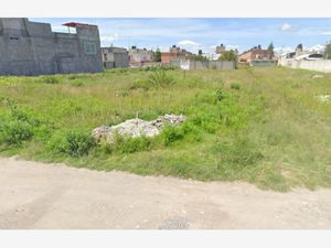 Terreno en Venta en San Benito Xaltocan Yauhquemehcan