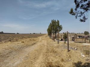 Terreno en Venta en San Isidro Chipila Muñoz de Domingo Arenas