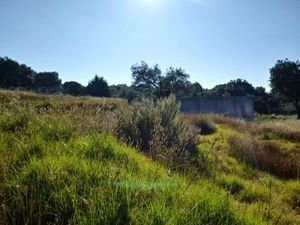 Terreno en Venta en San Andres Ahuashuatepec Tzompantepec