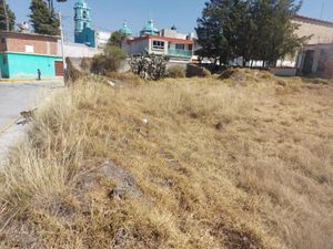 Terreno en Venta en Santa Maria Texcalac Apizaco