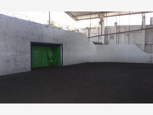 Bodega en Renta en Fatima Apizaco