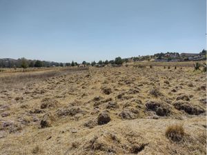 Terreno en Venta en San Isidro Chipila Muñoz de Domingo Arenas