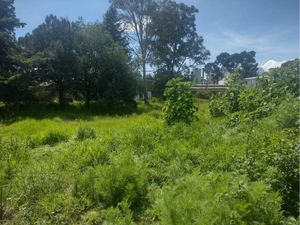 Terreno en Venta en San Jose Tetel Yauhquemehcan