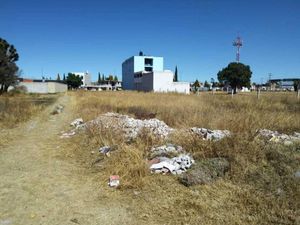 Terreno en Venta en San Benito Xaltocan Yauhquemehcan