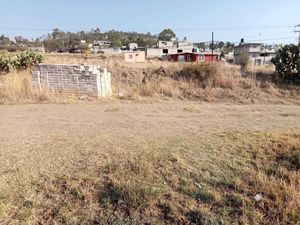 Terreno en Venta en San Andres Ahuashuatepec Tzompantepec