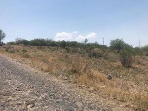 Terreno en Venta en Apaseo El Grande Centro Apaseo El Grande