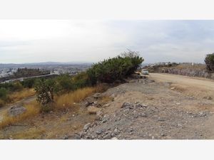 Terreno en Venta en Loma Dorada Querétaro