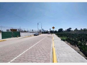 Terreno en Venta en San Bernardino Tlaxcalancingo San Andrés Cholula