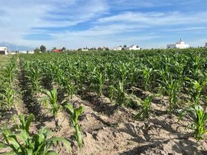 Terreno en Venta en San Bernardino Tlaxcalancingo San Andrés Cholula