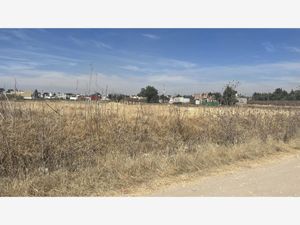 Terreno en Venta en San Bernardino Tlaxcalancingo San Andrés Cholula