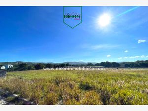 Terreno en Venta en Quintas del Bosque Puebla