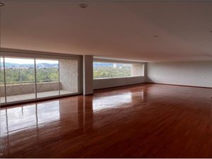 Departamento en Renta en Polanco I Sección Miguel Hidalgo