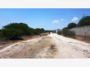 Terreno en Venta en San Martín Colón