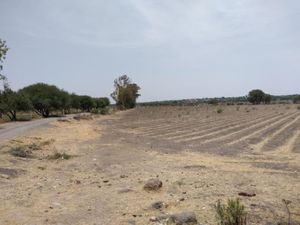 Finca/Rancho en Venta en La Lira Pedro Escobedo