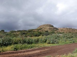 Terreno en Venta en El Coyote Colón