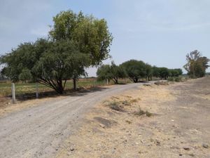 Finca/Rancho en Venta en La Lira Pedro Escobedo