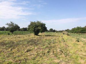 Terreno en Venta en Santa Maria Tlacatecpa Contla de Juan Cuamatzi