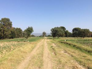 Terreno en Venta en Santa Maria Tlacatecpa Contla de Juan Cuamatzi