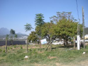 Terreno en Venta en Los Cristales Monterrey