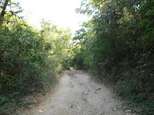 Terreno en Venta en Rincon de la Sierra Guadalupe