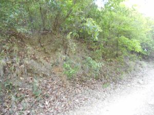 Terreno en Venta en Rincon de la Sierra Guadalupe