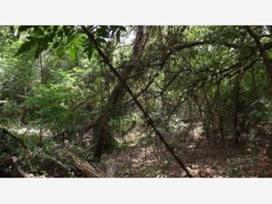 Terreno en Venta en Rincon de la Sierra Guadalupe