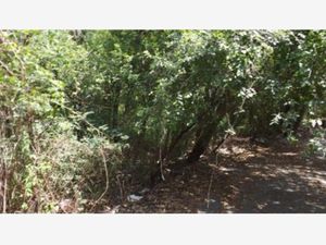 Terreno en Venta en Rincon de la Sierra Guadalupe