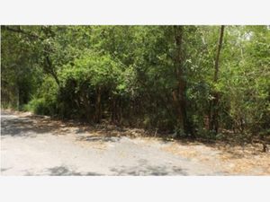 Terreno en Venta en Rincon de la Sierra Guadalupe