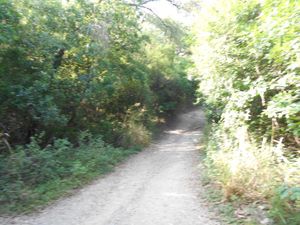 Terreno en Venta en Rincon de la Sierra Guadalupe