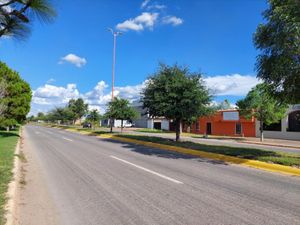 Terreno en Renta en El Pueblito Durango