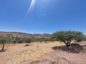 Terreno en Venta en Ecuestre los Agaves Durango