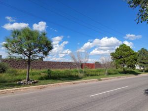 Terreno en Renta en El Pueblito Durango