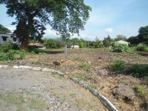 Terreno en Venta en Campestre Comala Comala