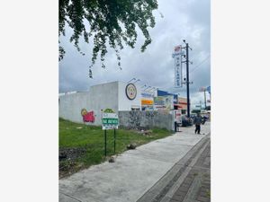 Terreno en Renta en Villa de Alvarez Centro Villa de Álvarez