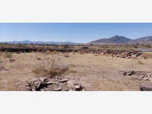 Terreno en Renta en Puerta de Alegrias (puerto de Alegrias) San Juan del Río