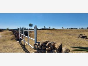 Terreno en Renta en Puerta de Alegrias (puerto de Alegrias) San Juan del Río