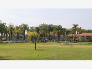 Terreno en Venta en Residencial Hacienda Yextho Tecozautla