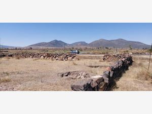 Terreno en Renta en Puerta de Alegrias (puerto de Alegrias) San Juan del Río