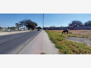 Terreno en Renta en Jesus Maria El Marqués