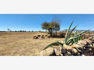 Terreno en Renta en Puerta de Alegrias (puerto de Alegrias) San Juan del Río