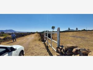 Terreno en Renta en Puerta de Alegrias (puerto de Alegrias) San Juan del Río