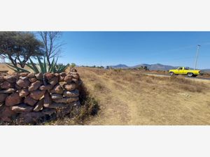 Terreno en Renta en Puerta de Alegrias (puerto de Alegrias) San Juan del Río