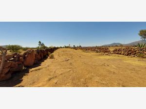 Terreno en Renta en Puerta de Alegrias (puerto de Alegrias) San Juan del Río