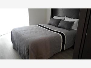 Departamento en Renta en Arboledas Querétaro