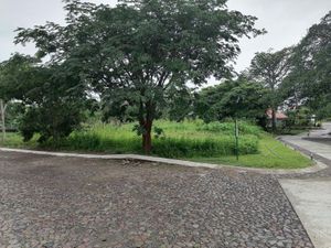 Terreno en Venta en El Chivato (Providencia) Villa de Álvarez