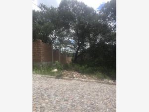 Terreno en Venta en Campestre Haras Amozoc