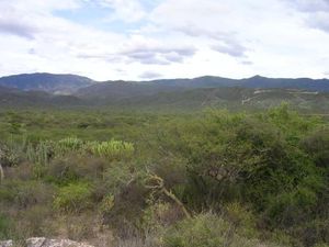 Terreno en Venta en 21 de Marzo Tehuacán