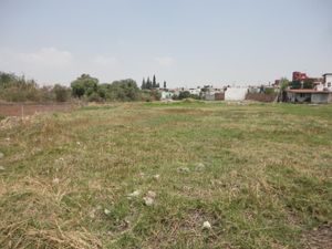 Terreno en Venta en Alseseca Puebla